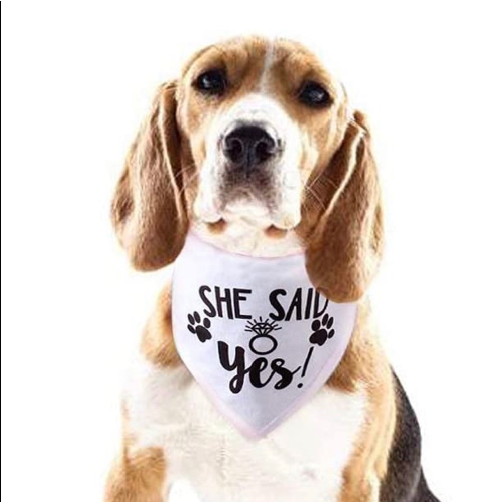 She Said Yes! Bundle